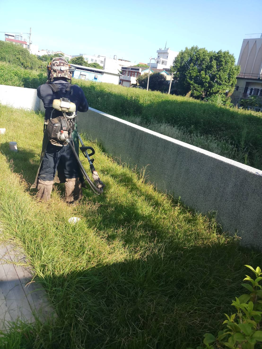 111年8月10日衛生所綠地植栽割草施肥 相本